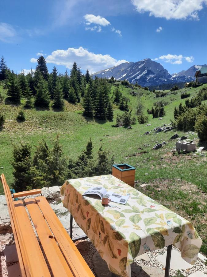 Apartmani 1490 Žabljak Dış mekan fotoğraf